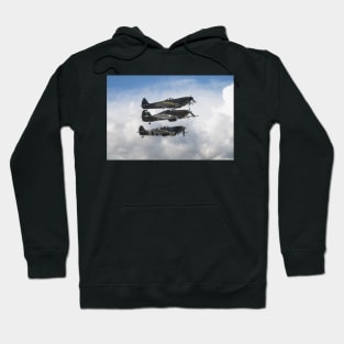 Battle of Britain Fighters Hoodie